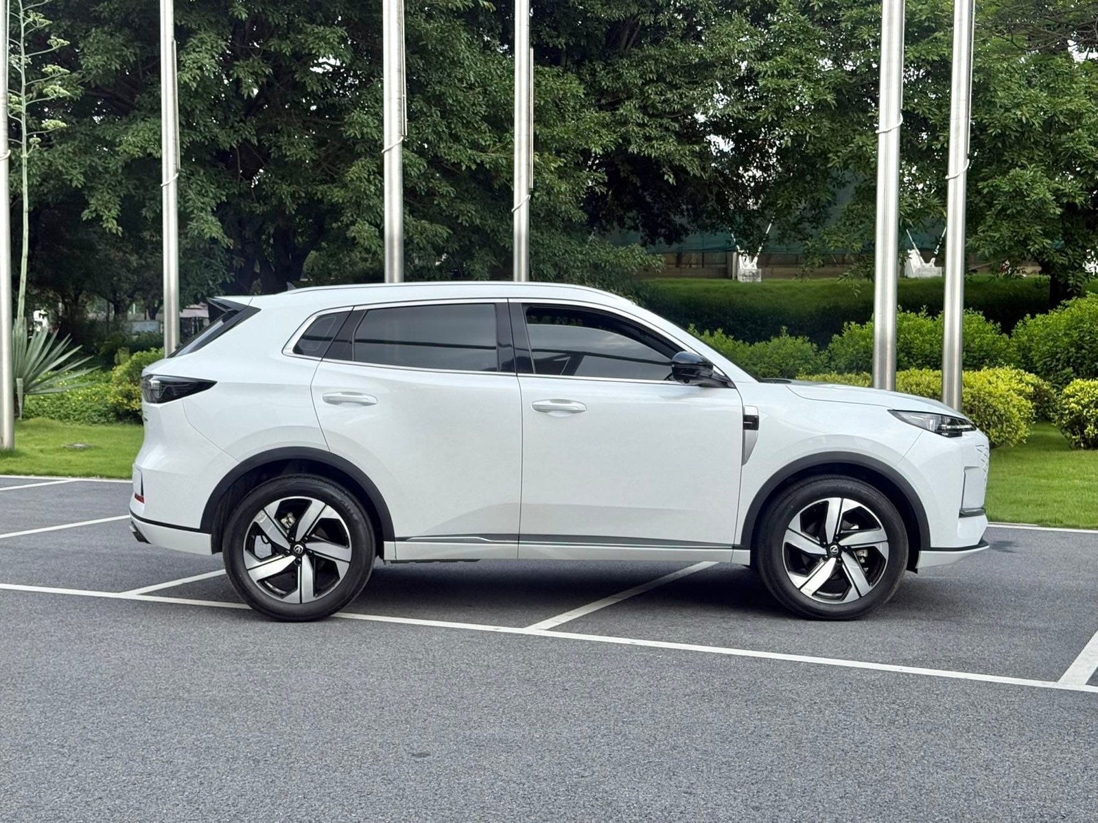 								2024 Changan CS55PLUS 1.5T Luxury full									