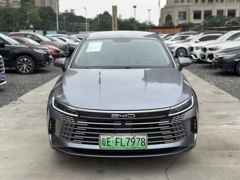 2024 BYD Qin PLUS Honor Edition EV 510KM Superior Version
