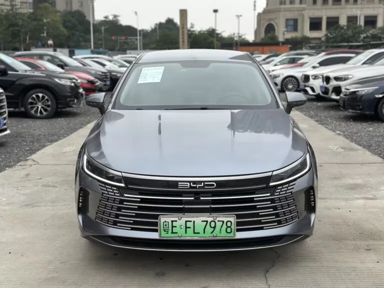 2024 BYD Qin PLUS Honor Edition EV 510KM Superior Version