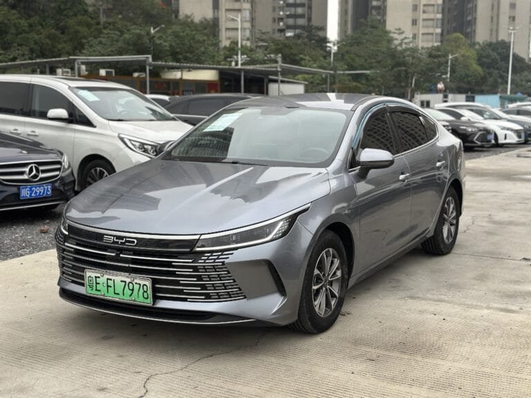 2024 BYD Qin PLUS Honor Edition EV 510KM Superior Version