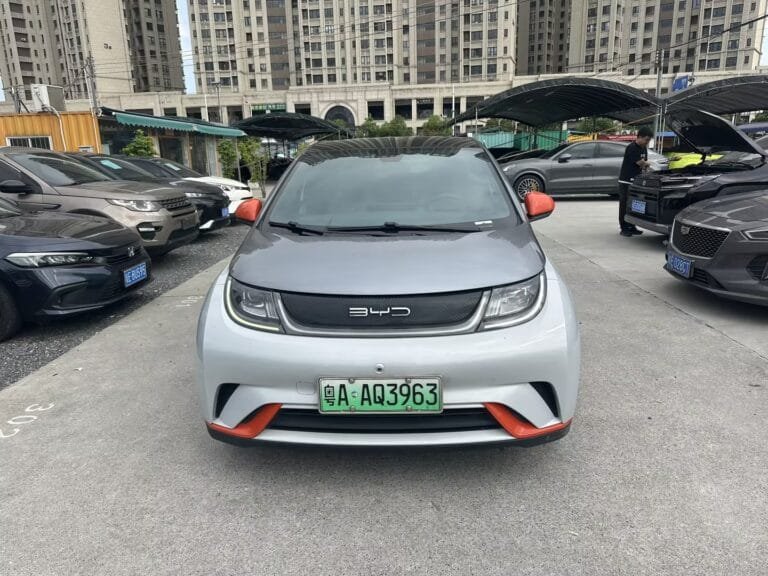 2021 BYD Dolphin 405km Fashion Edition