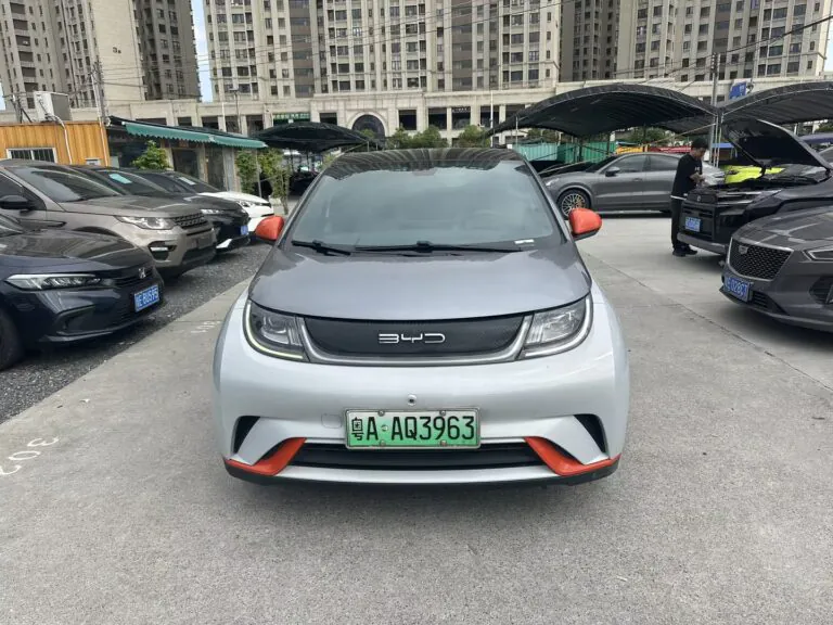 2021 BYD Dolphin 405km Fashion Edition