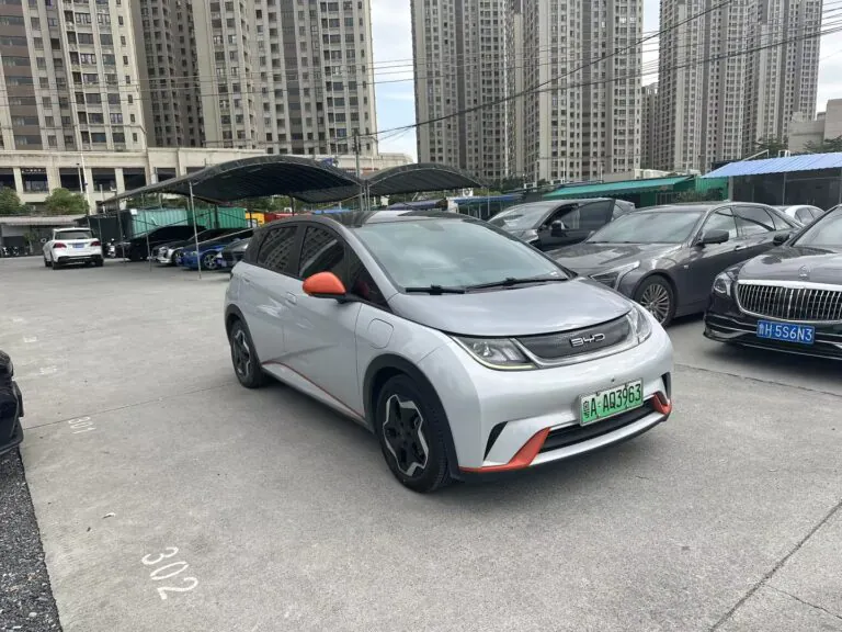 2021 BYD Dolphin 405km Fashion Edition