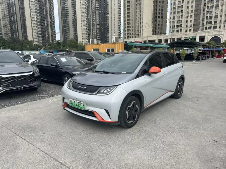 2021 BYD Dolphin 405km Fashion Edition