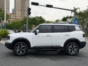 2025 Shanhai T1 C‑DM 1.5T Xianghai Edition Hybrid