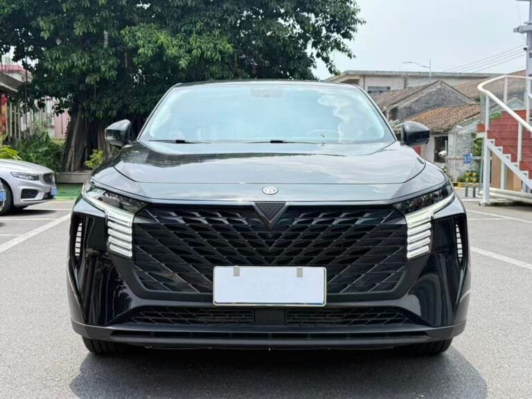 2022 Venucia V-Online 260T 1.5T Idol Pro Version